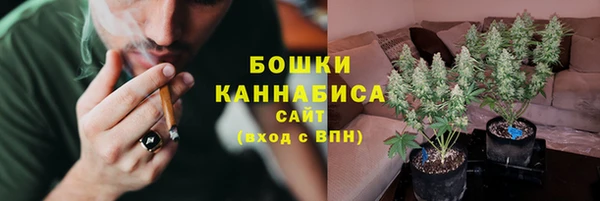 ешки Богданович